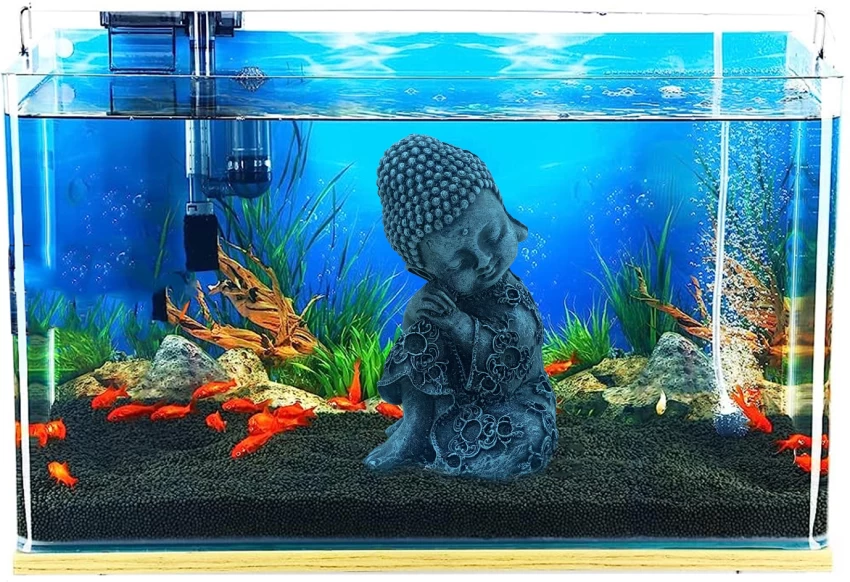 Aquarium